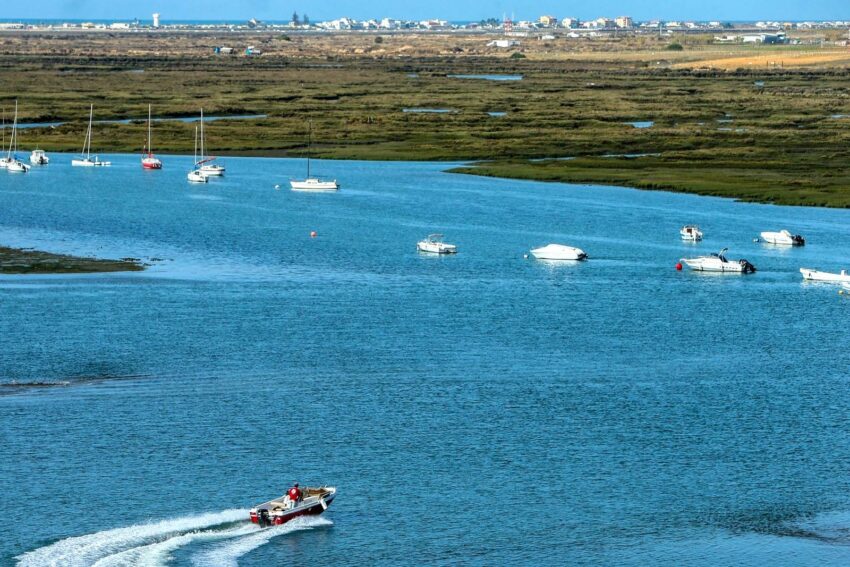 GNR apreende 1 400 quilos de berbigão na Ria Formosa no valor de 4 200