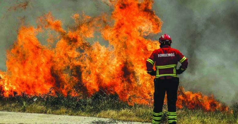 Suspeito de 11 fogos no Algarve Termo de Identidade e Residência