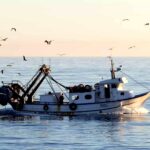 Falta de gelo em portos do Algarve está a condicionar pesca do cerco