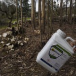 Tribunal determina paragem na aplicação de herbicida cancerígeno na Ribeira de Aljezur