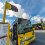 “Um passageiro chegou antes do destino”: bebé nasce a bordo de autocarro da Carris Metropolitana