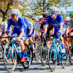 Volta ao Algarve: Melhores equipas de ciclistas do mundo passam por Albufeira