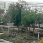 Movimento Glocal Faro critica a “insustentável remodelação paisagística” da Mata do Liceu