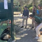 Presidente da Junta de Freguesia de Quarteira visitou a Animal Rescue Algarve [fotos]