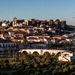 Silves revela inventário municipal de arvoredo urbano para celebrar o Dia da Sustentabilidade