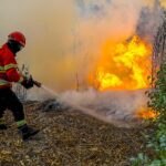 Algarve entre as regiões com plano de gestão de fogos aprovado