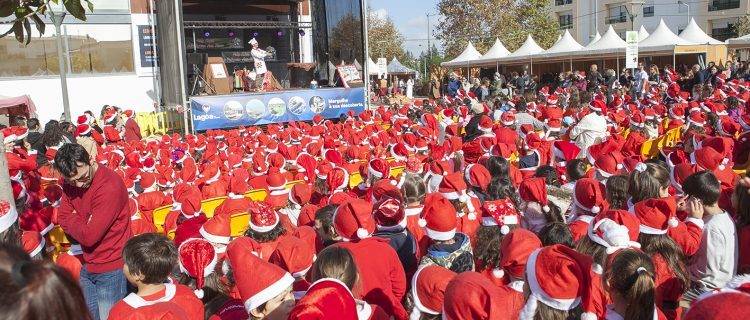 Aceitam Se Inscri Es Para As Feiras De Natal De Lagoa E Carvoeiro