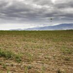 Agricultores algarvios lamentam atraso na publicação do alívio de restrições ao uso da água