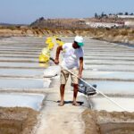 Nesta vila no Algarve há um ‘ouro branco’ que aparece nos dias de maior calor e tem este selo de qualidade