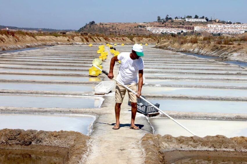 Salinas de Castro Marim.