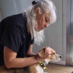 MAR Shopping Algarve promove curso de massagem para cães