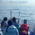 ONG ambiental consciencializa alunos algarvios sobre o meio marinho