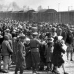 A minha visão do Holocausto | Por Leonor Amaro do Colégio Bernardette Romeira