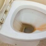Sabe limpar a sanita eficazmente? Aprenda como o fazer