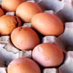 Costuma guardar os ovos no frigorífico? Há algo que deve saber