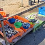 Apreendidos 136 kg de pescado no porto de Quarteira