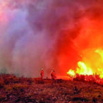São Brás de Alportel e Tavira em risco máximo de incêndio