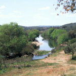 Ambientalistas europeus querem restaurar ribeira que nasce na serra do Caldeirão
