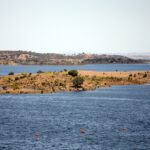 Agricultores do Baixo Alentejo criticam abastecimento de água ao Algarve através do Alqueva