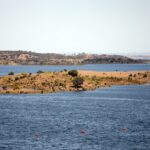 Praias de água doce no Alentejo para fugir ao calor: conheça os refúgios do Alqueva