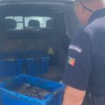 Polícia Marítima apreende 110 kg de polvo em Santa Luzia