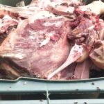 ASAE apreende 410 quilos de carne “bastante deteriorados e impróprios para o consumo”