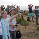 Festival de Observação de Aves espera cerca de 1.300 participantes em Sagres