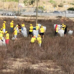 Ações de limpeza juntaram 260 participantes em Lagos