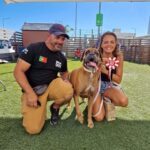 Tem o cão mais ‘cool’ do Algarve? Então vá ao Mar Shopping este sábado