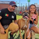 Tem o cão mais ‘cool’ do Algarve? Então vá ao Mar Shopping este domingo