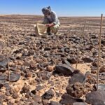 Equipa internacional liderada por cientista da UAlg desenvolve técnica que revela idade da pedra arábica