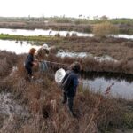 Almargem lança site dedicado à biodiversidade das Alagoas Brancas