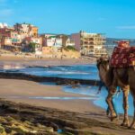 Esta cidade a menos de 2h de Portugal é comparada a Albufeira e tem camelos na praia