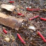 Resíduos de pirotecnia na Ria Formosa geram alerta do PAN Olhão [fotos]