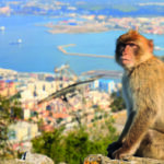 Esta cidade perto do Algarve tem macacos à solta e vista para África