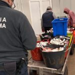 Fiscalização noturna no Porto de Pesca de Tavira leva à apreensão de 575 kg de pescado