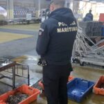 Polícia Marítima de Portimão apreende 20 kg de Polvo em fiscalização no Rio Arade