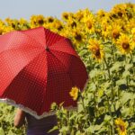 O que esperar da primavera? Conheça as previsões para o estado do tempo da nova estação