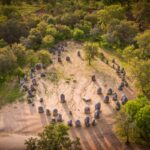 Conheça o monumento português com mais de 7.000 anos que é comparado ao mítico Stonehenge