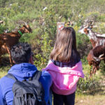 Festival de Caminhadas de Alcoutim e Sanlúcar de Guadiana adiado para maio devido ao mau tempo