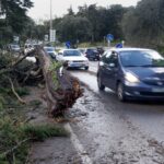 Ventos fortes e queda de árvores foram os principais impactos da tempestade Martinho no Algarve