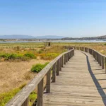 Este passadiço no Algarve está entre o mar e a ria e o cenário muda consoante as marés