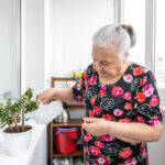 Não faça isto às plantas em setembro: este hábito de verão pode fazer cair as folhas