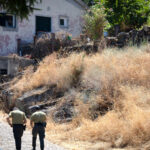 Acabou o prazo para limpar terrenos: coimas arrancam e podem chegar aos 25 mil euros