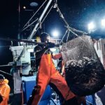 Exposição de Hélder Luís retrata a alma da pesca do cerco no Museu de Portimão