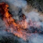 Fogo no Algarve já fez 11 feridos ligeiros e mantém uma frente ativa