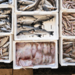 Melhores que o salmão e com menos mercúrio que o atum: espanhóis dizem que estes peixes são o “ideal” para o coração