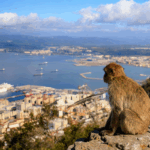 Vedação que separa Gibraltar de Espanha vai cair na próxima meia-noite e acaba-se a fronteira terrestre