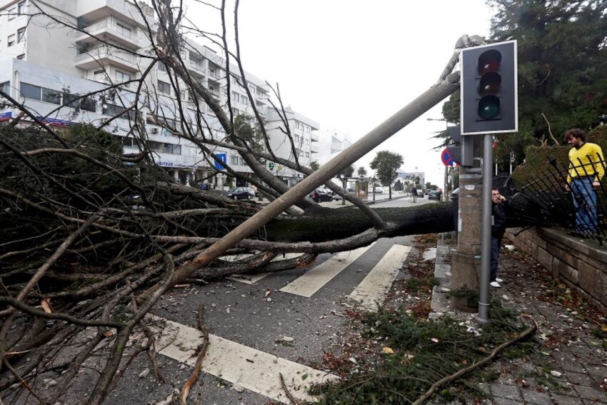 Destruição devido a mau tempo. Crédito: Lusa