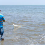 Chef lança alerta: este marisco “desapareceu todo” no Algarve e já saiu do menu do seu restaurante